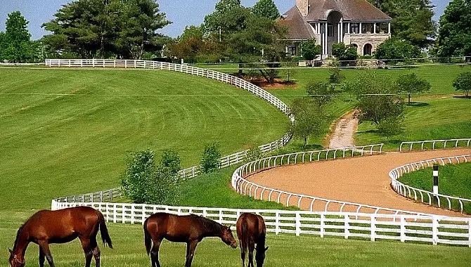 Is Lexington, Kentucky A Good Place To Live?