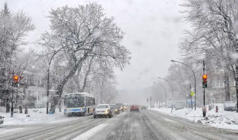 Does It Snow In Maryland? Baltimore Or Columbia? Monthly Snowfall ...