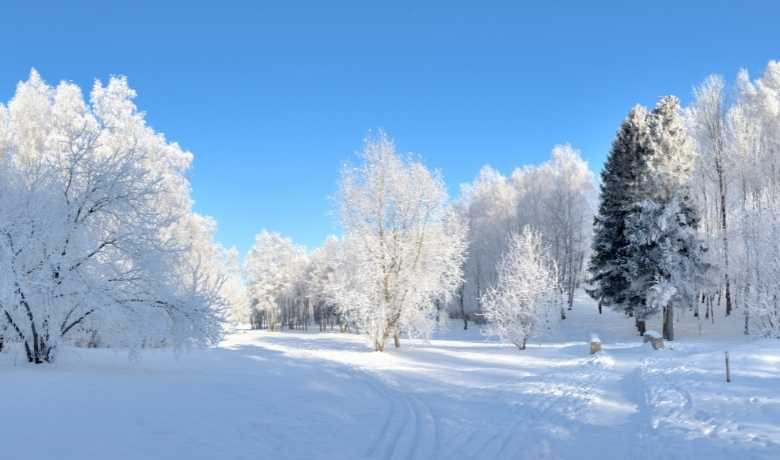 North Carolina Annual Snowfall